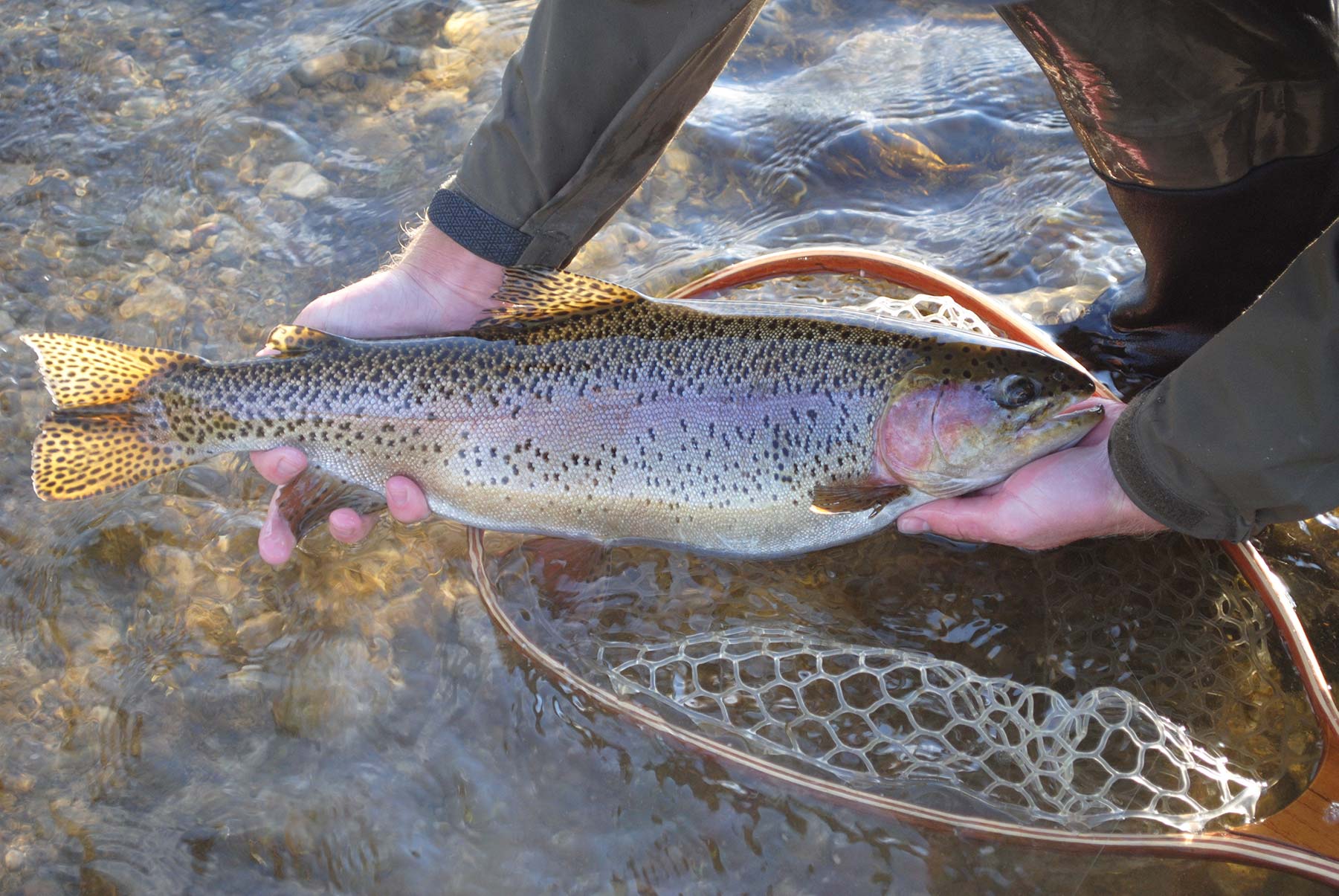 Usk Fishing Association