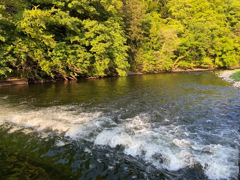 Image of Usk at Trostrey Weir